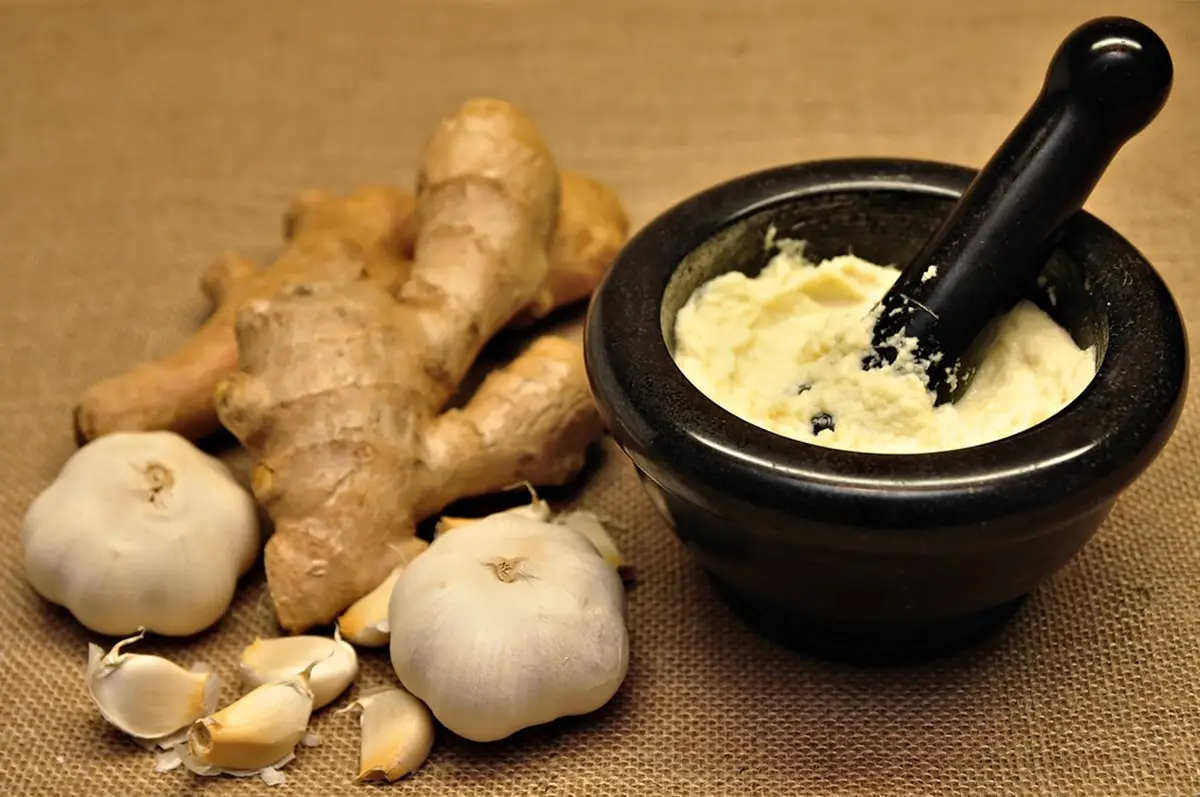 ggp main 1 - Manvik Foods Preparation of Homemade Ginger Garlic Paste - Manvik Foods