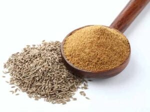Cumin seed - Manvik Foods Cumin seed