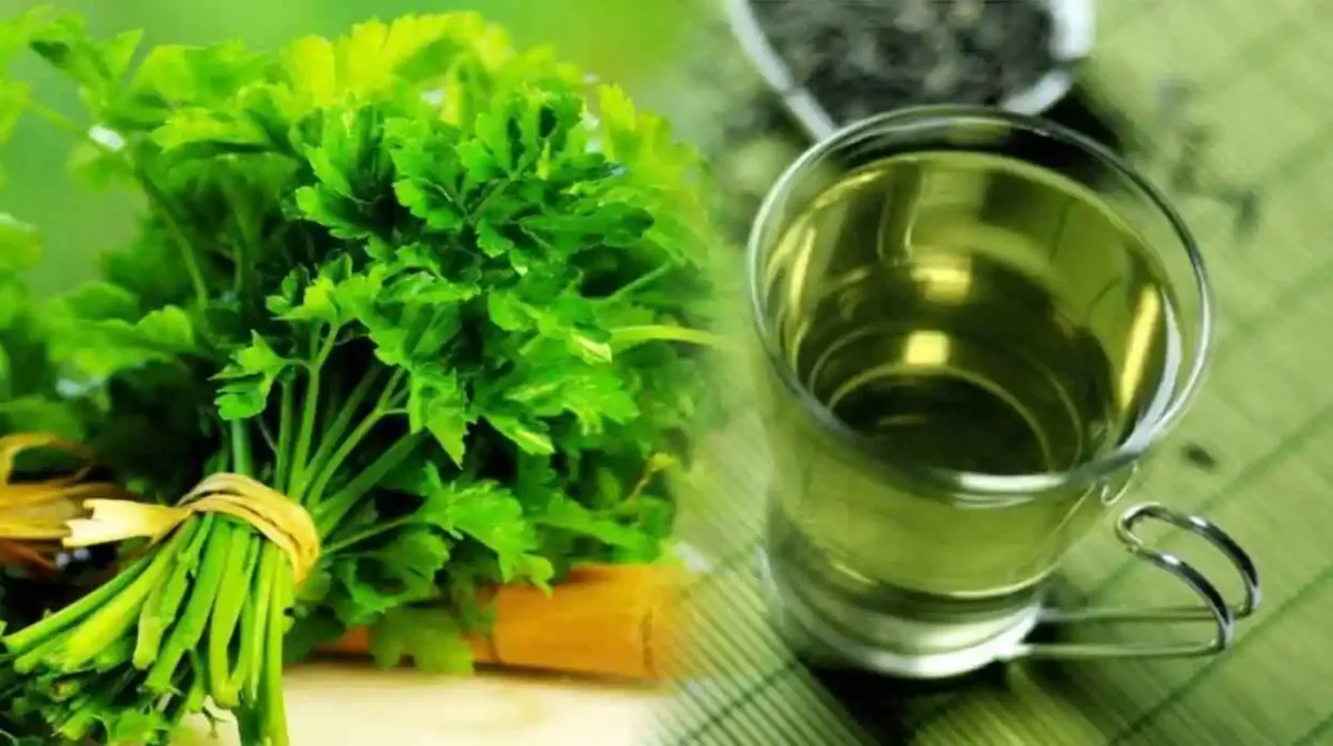 parsley water benefits — Manvik Foods