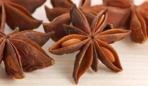Anise seed vs Star anise - Manvik Foods Star anise