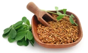 fenugreek seeds 1000x600 1 - Manvik Foods fenugreek seeds