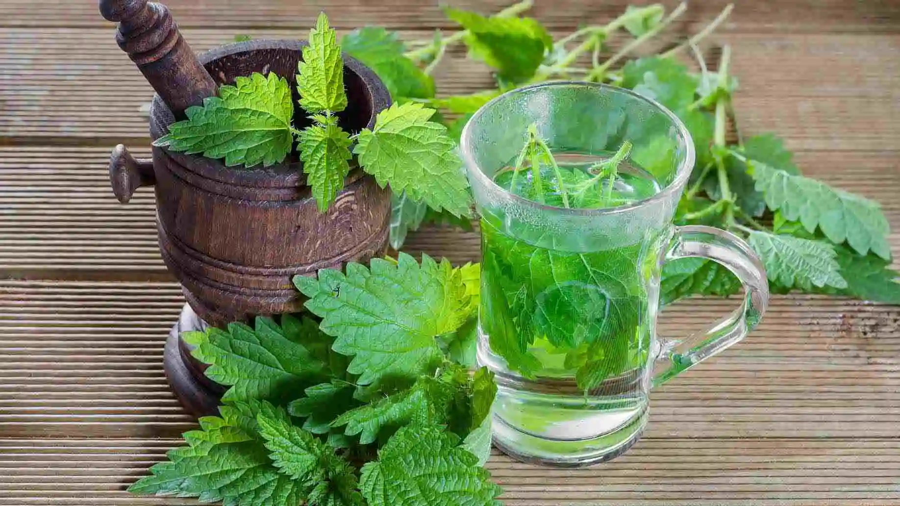 Parsley Water And Its Traditional Uses A Natural Elixir Manvik Foods