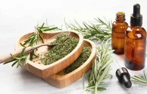 Benefits of Rosemary Essential Oil