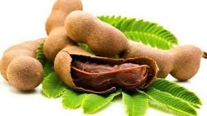 3106qw2mw4L - Manvik Foods Nature Prime Tamarind | Imli Dried - 250 g - Image 3