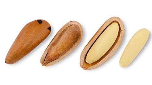 31jRDGHoXgL - Manvik Foods Go Vegan Pine Nuts with Shell, 1KG | Chilgoza Jambo Size - Image 3