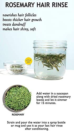 417 VJwUEGS - Manvik Foods RiTrue - Rosemary Dried Leaves - 90 Gm - For Hair Growth | Rosemary Herb Tea | Organic | Natural - Image 6