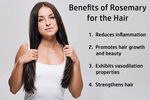 419hEQv3m L - Manvik Foods Siera Rosemary Dried Leaves (100% Natural) | Dried Rosemary Leaves for Hair Growth | Rosemary Tea | Rose Mary | Rose Merry leaf- (100 gm) - Image 5