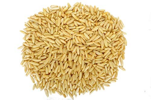 41IaZidW33L - Manvik Foods Berries And Nuts Premium Chilgoza Magaz | Pine Nuts Without Shell | 250 Grams - Image 4
