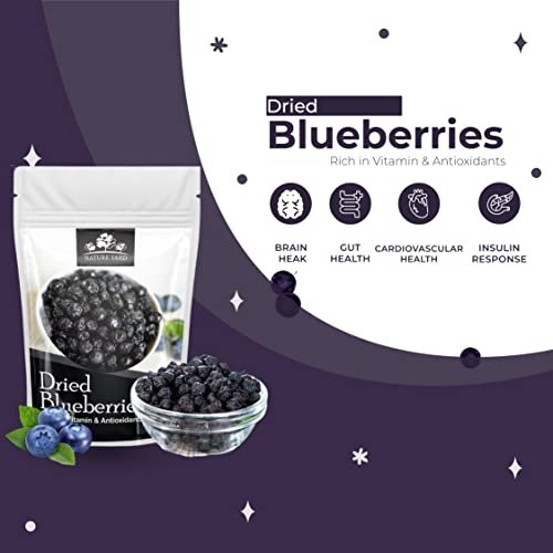 41NfVTQcNNL - Manvik Foods NATURE YARD Blueberry dry fruit without sugar - 50gm Organic Unsweetened Blueberries ( Vegan & Gluten Free snacks ) - Image 3