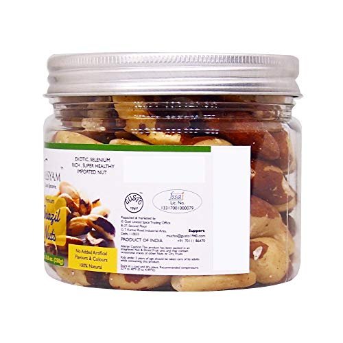 41QTDZWnFgL - Manvik Foods Tassyam Premium Exotic Brazil Nuts Jar (250 g) - Image 5