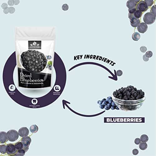 41RoyrtyE L - Manvik Foods NATURE YARD Blueberry dry fruit without sugar - 50gm Organic Unsweetened Blueberries ( Vegan & Gluten Free snacks ) - Image 5