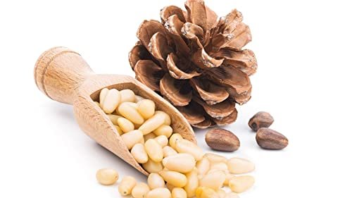 41Sjw13JpjL - Manvik Foods Nutrilin Lebanon Pine Nuts (Chilgoza) Pine Seeds, Powerhouse of Antioxidants (100) - Image 5