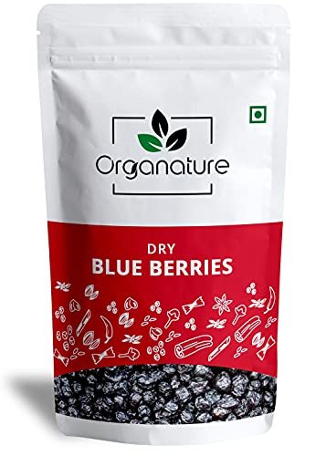 41eNWEgHq9L - Manvik Foods Organature Whole Dried Blueberries / Blueberry dry fruit - 100% Natural and Unsweetened - Gluten free snacks (100 Grams)