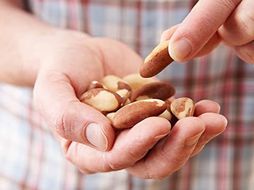 41inztOIoqS - Manvik Foods RiTrue - Jumbo Brazil Nuts 100g - Selenium Rich Organic Dry Fruit - Handpicked brazilian nuts - Image 3