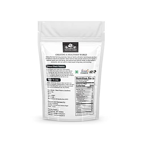 - Manvik Foods NATURE YARD Black Raisins Seedless / kali kismis / kishmish dry fruit - 500gm - Premium Afghani Seedless Dry Black Grapes - Image 4