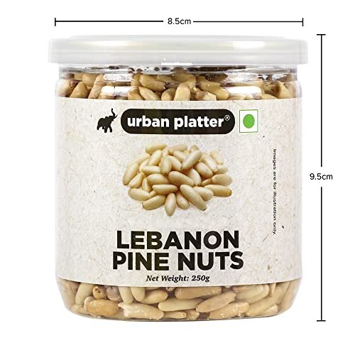 41uUOySWy L - Manvik Foods Urban Platter Lebanon Pine Nuts (Chilgoza), 250g - Image 8