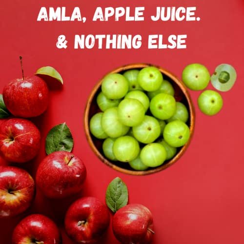 - Manvik Foods SeAro Dried Amla Candy Without Added Sugar. Refined Sugar Free Gooseberry Candy. Diabetic Friendly. Sweetened with 100% Apple Juice. 100% Natural, No Preservatives, 300g - Image 5