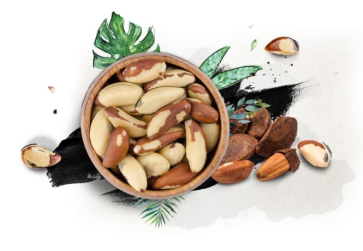 51 0ks0rLsL - Manvik Foods RiTrue - Jumbo Brazil Nuts 100g - Selenium Rich Organic Dry Fruit - Handpicked brazilian nuts - Image 6