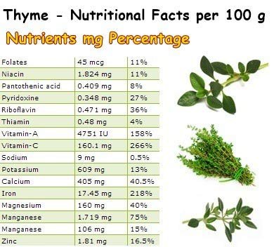51 k4KoaH2L - Manvik Foods Siera Thyme Leaves | 100& Pure, Natural and Fresh Seasoning | Perfect Seasoning for Pizza, Pasta and Other Indian-Italian Food - 200 gm - Image 4