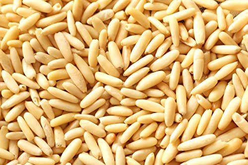 - Manvik Foods LILA DRY FRUITS Premium Pine Nuts Whole, Chilgoza, Neza big size | Export quality | Healthy food | Pinenut without shell | Jar Pack (50gm*2) - Image 7