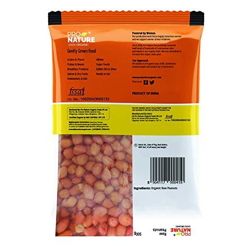 514fixe XeL - Manvik Foods Pro Nature Organic Raw Peanuts, 500g - Image 3