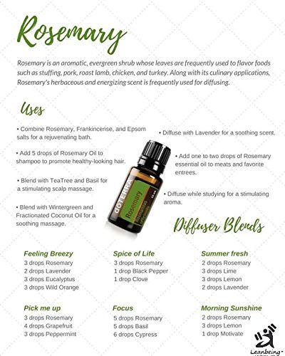 515JWg45i2L - Manvik Foods Leanbeing Organic Rosemary Leaves 100 Gm for Seasoning ,Culinary Use and Reducing Stress - Image 5