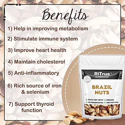 515X7MeHB5L - Manvik Foods RiTrue - Jumbo Brazil Nuts 100g - Selenium Rich Organic Dry Fruit - Handpicked brazilian nuts - Image 5