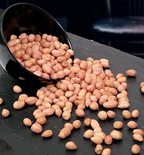 517CYP7AapL - Manvik Foods Nuts & Seeds - Raw Peanut 500g (Loose) - Image 5