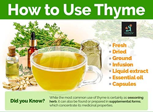 517qt4YIJqL - Manvik Foods Leanbeing Thyme Leaf Cut and Sifted 200Gm | for Better Skin ,Immunity and Culinary Uses - Image 5