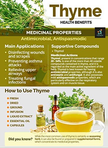 518HAKV8vwL - Manvik Foods Leanbeing Thyme Leaf Cut and Sifted 200Gm | for Better Skin ,Immunity and Culinary Uses - Image 4