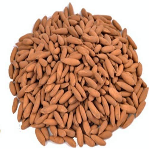 519GW5abH0L - Manvik Foods Organic Purify Pine Nuts Shelled (Chilgoza) 250 Gm Jar Pack (Dry Fruits) Jumbo Size (Diwali Celebration Pack) - Image 3
