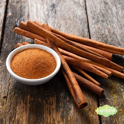 51ErHJs3wwS - Manvik Foods Easygrow Premium Cinnamon Powder, Dalcheeni Powder - 100gm - Image 6