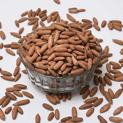 51J73TauFwL - Manvik Foods Dry Fruit Hub Pine Nuts with Shell 1kg, chilgoja , Chilgoza Dry Fruits, Pine Nuts Dry Fruits Pack Of 1kg - Image 4