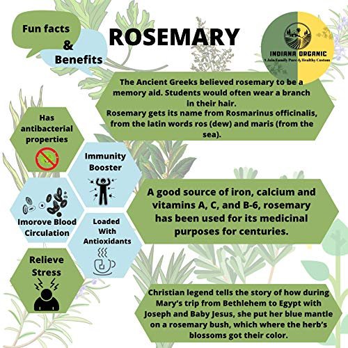51OdgwggUL - Manvik Foods Indiana Organic Dry Rosemary Herbs Seasoning for Culinary Use, 45 Gm - Image 6