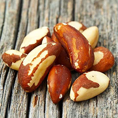 51Wyy9FqAtL - Manvik Foods Nutty Yogi Premium Jumbo Brazil Nuts | No Preservative - 200gm - Image 7