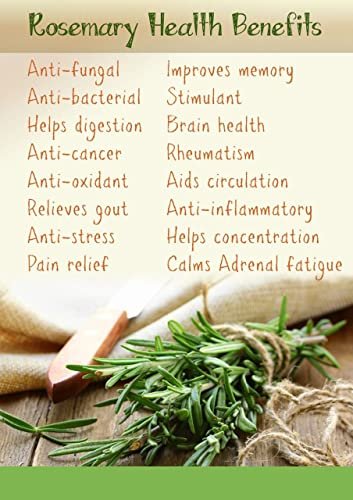 51d PkWCL - Manvik Foods Indiana as offered by nature Rosemary Dried Leaves For Hair Growth & Rosemary Herb Tea 200 G - Image 5