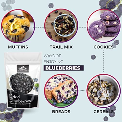 - Manvik Foods NATURE YARD Blueberry dry fruit without sugar - 50gm Organic Unsweetened Blueberries ( Vegan & Gluten Free snacks ) - Image 6