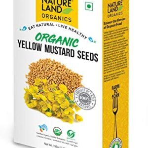 51ezF1w96bL - Manvik Foods 51ezF1w96bL