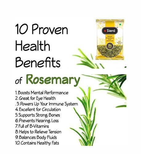 51gHim761WL - Manvik Foods Siera Rosemary Dried Leaves (100% Natural) | Dried Rosemary Leaves for Hair Growth | Rosemary Tea | Rose Mary | Rose Merry leaf- (100 gm) - Image 4