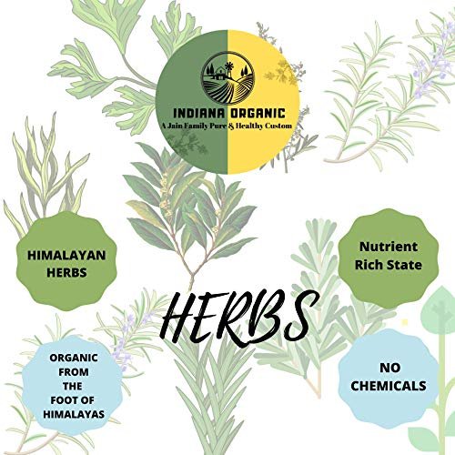 51lyI2z8PhL - Manvik Foods Indiana Organic Dry Rosemary Herbs Seasoning for Culinary Use, 45 Gm - Image 4