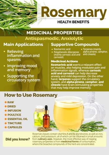 51olpoEf64L - Manvik Foods Indiana as offered by nature Rosemary Dried Leaves For Hair Growth & Rosemary Herb Tea 200 G - Image 6