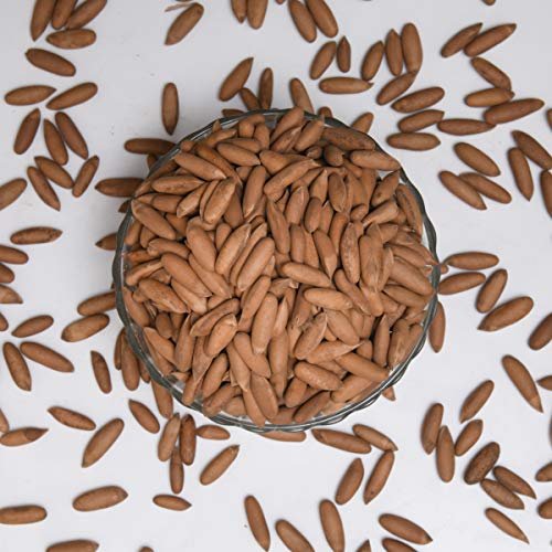 51qKco0ZgvL - Manvik Foods Dry Fruit Hub Pine Nuts with Shell 1kg, chilgoja , Chilgoza Dry Fruits, Pine Nuts Dry Fruits Pack Of 1kg - Image 5