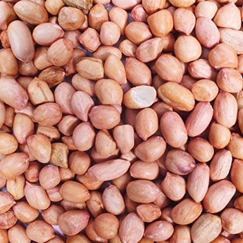 51rNEbCUoWL - Manvik Foods Nuts & Seeds - Raw Peanut 500g (Loose) - Image 3