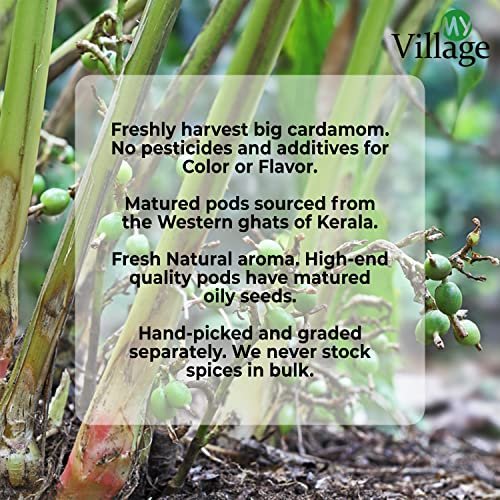 - Manvik Foods My Village Cardamom Seed Powder / Natural and Organic Elaichi Seed Powder (100 gm) - Image 5