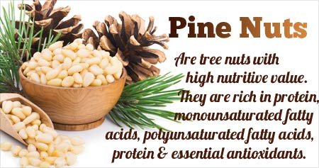 - Manvik Foods Go Vegan Pine Nuts with Shell, 1KG | Chilgoza Jambo Size - Image 4