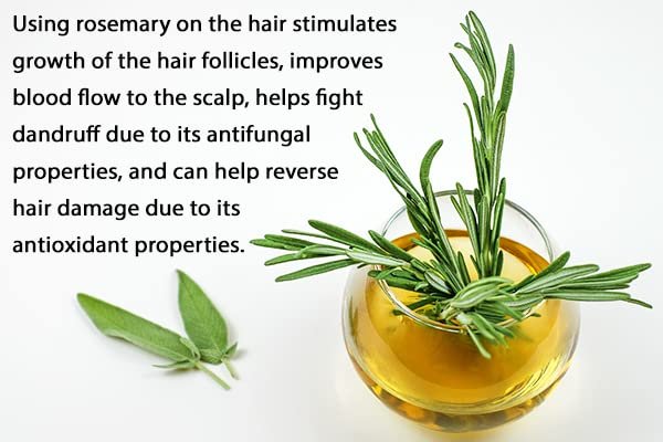 51wqpc8qJiL - Manvik Foods Siera Rosemary Dried Leaves (100% Natural) | Dried Rosemary Leaves for Hair Growth | Rosemary Tea | Rose Mary | Rose Merry leaf- (100 gm) - Image 6