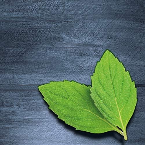 - Manvik Foods Dr. Oetker - Natural Extract - American Peppermint - 35ml - Image 5