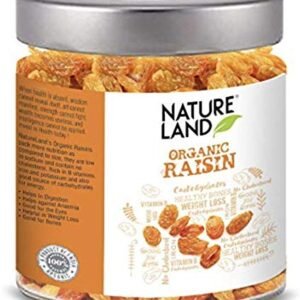 51xTN6uegL - Manvik Foods 51xTN6uegL