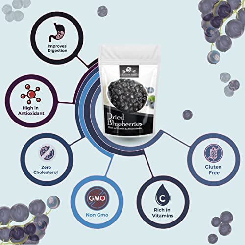51yN2MtV1oL - Manvik Foods NATURE YARD Blueberry dry fruit without sugar - 50gm Organic Unsweetened Blueberries ( Vegan & Gluten Free snacks ) - Image 4