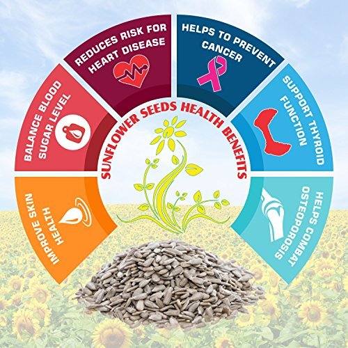 - Manvik Foods Nutraj Sunflower Seeds 200g - Image 6